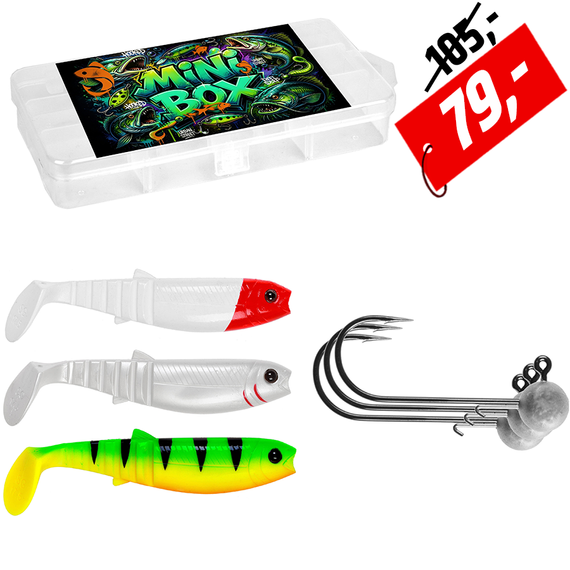 Mini BOX Catfish 1